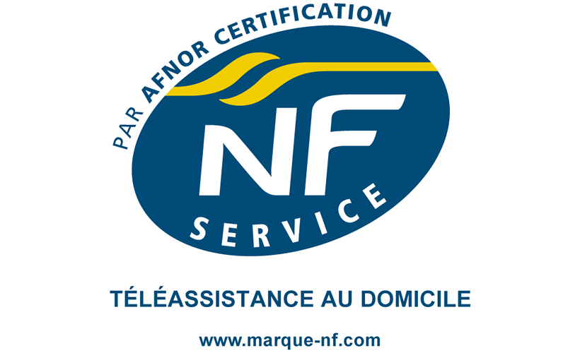 Logo NF service 